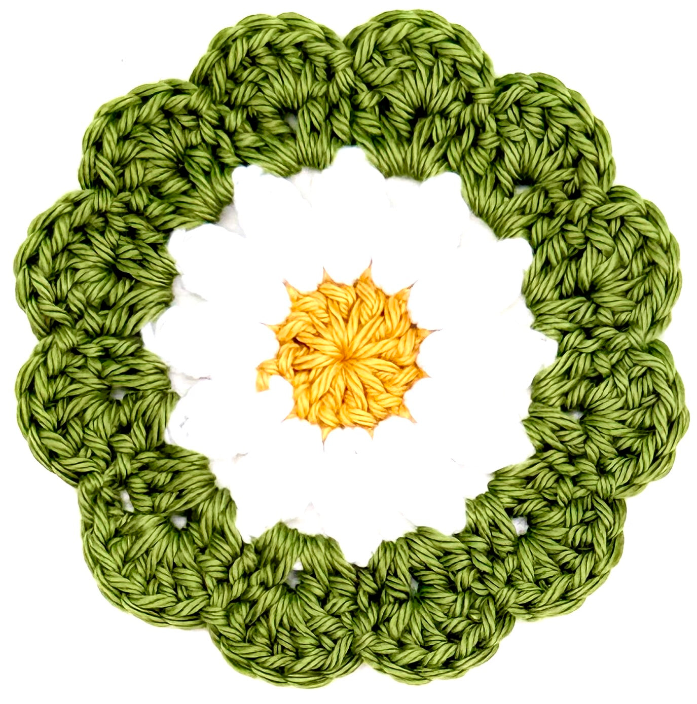 Sage Daisy Coaster