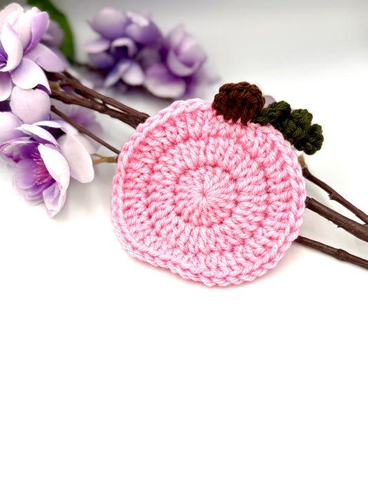 Pink Pumpkin Coaster with Vine