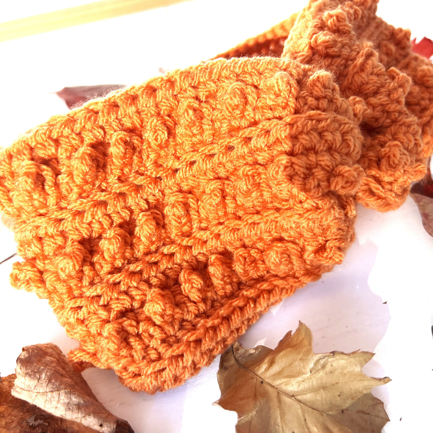 Desert Glaze Adult Picot Ear Warmer